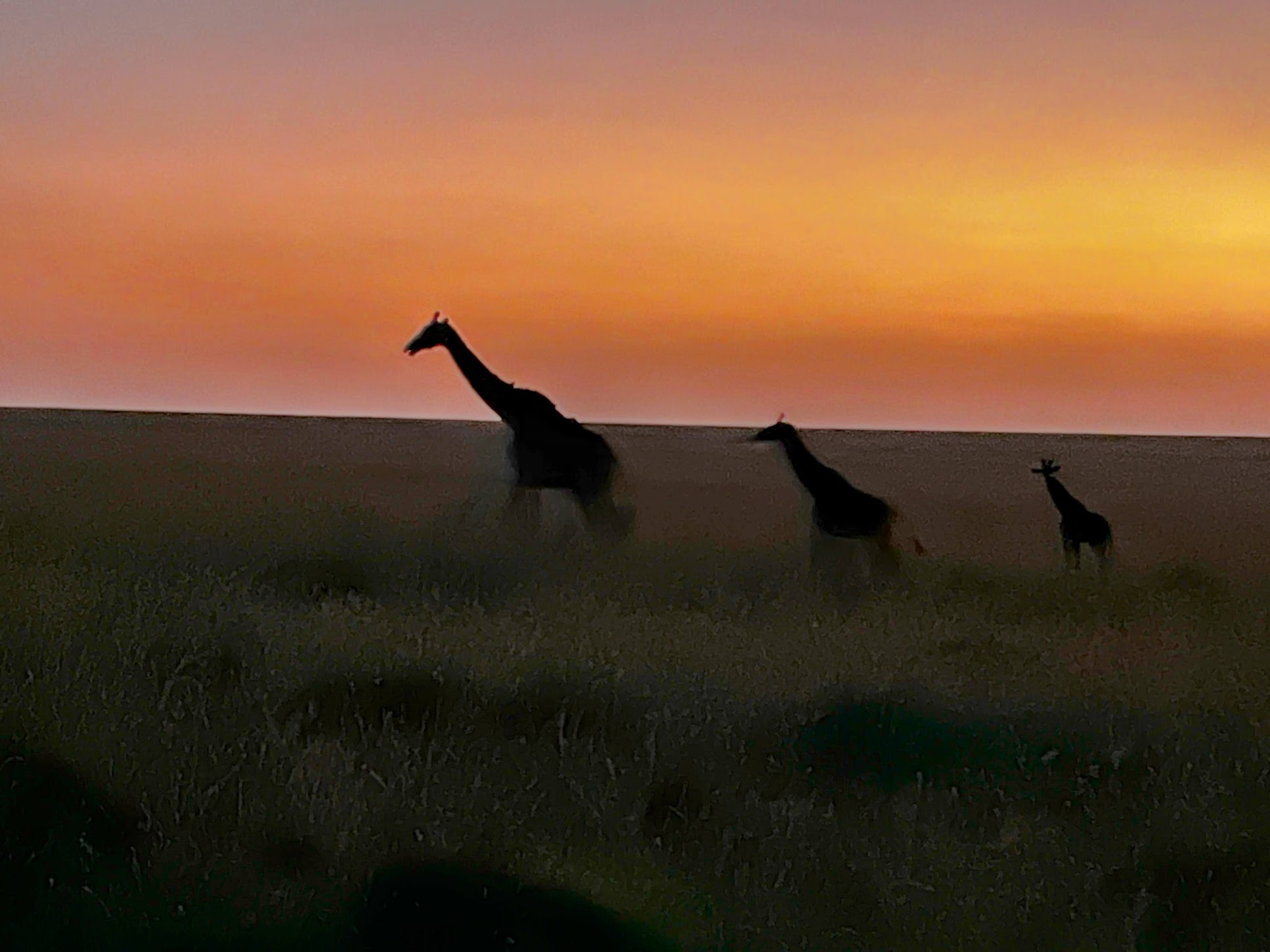 Predawn Coffee in the Mara