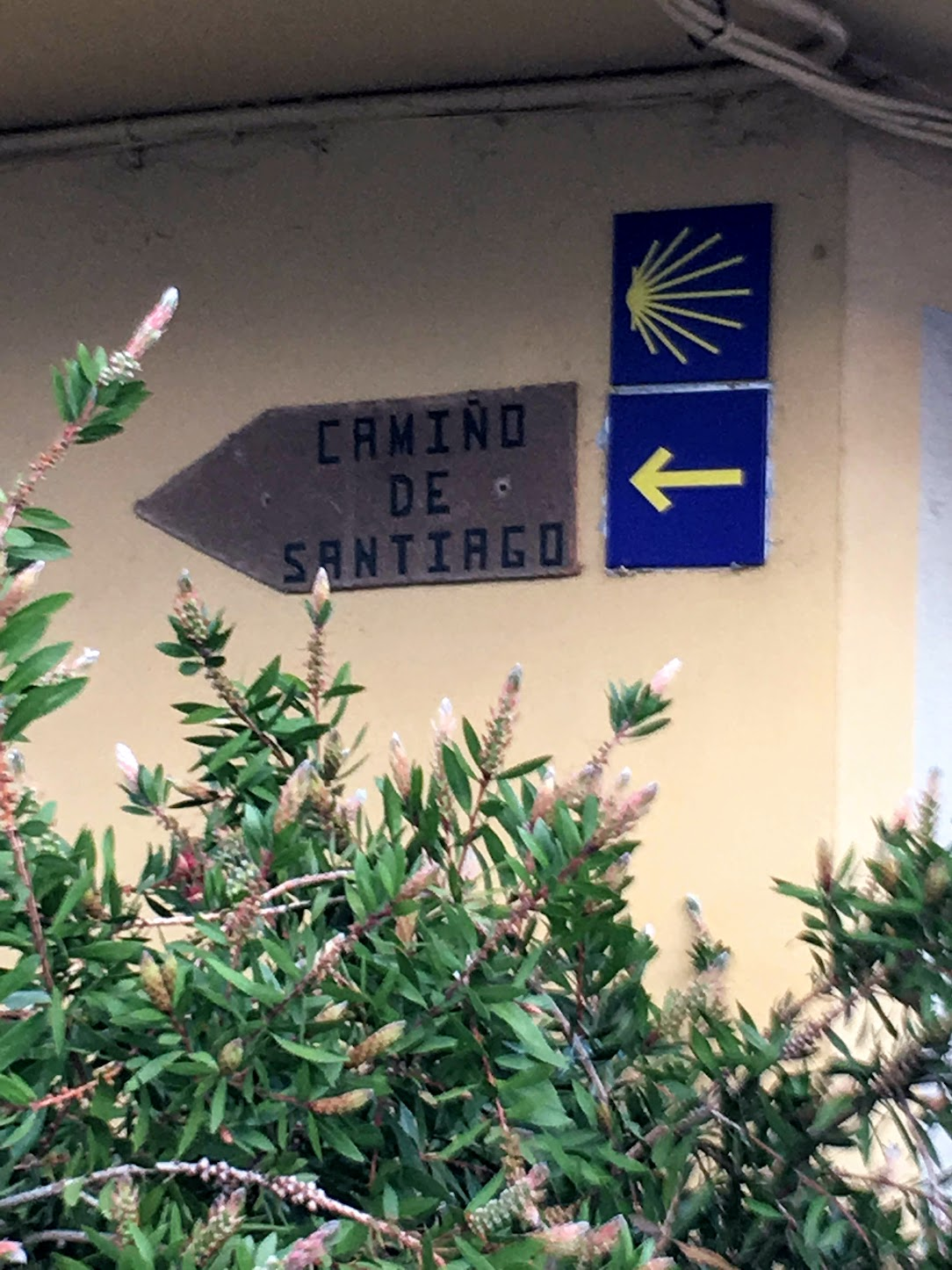 Walking the Camino